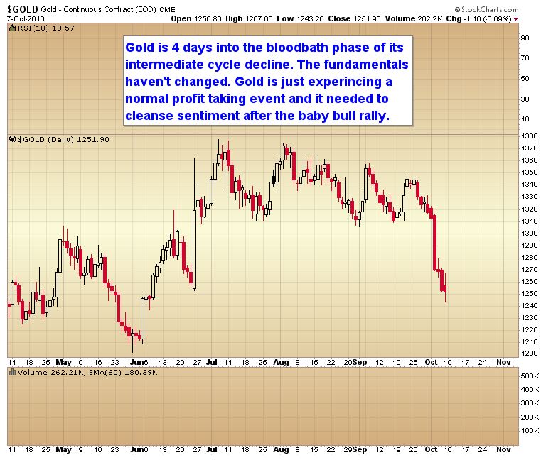 Gold Continuous Contracts