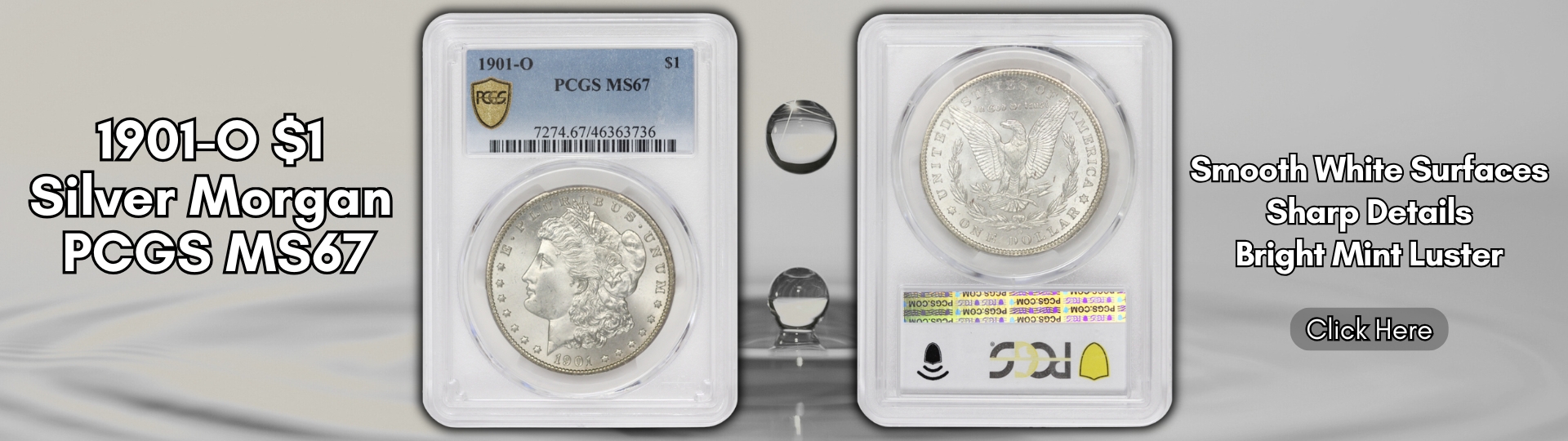 nineteen hundred one - o silver morgan dollar graded M S sixty seven by P C G S