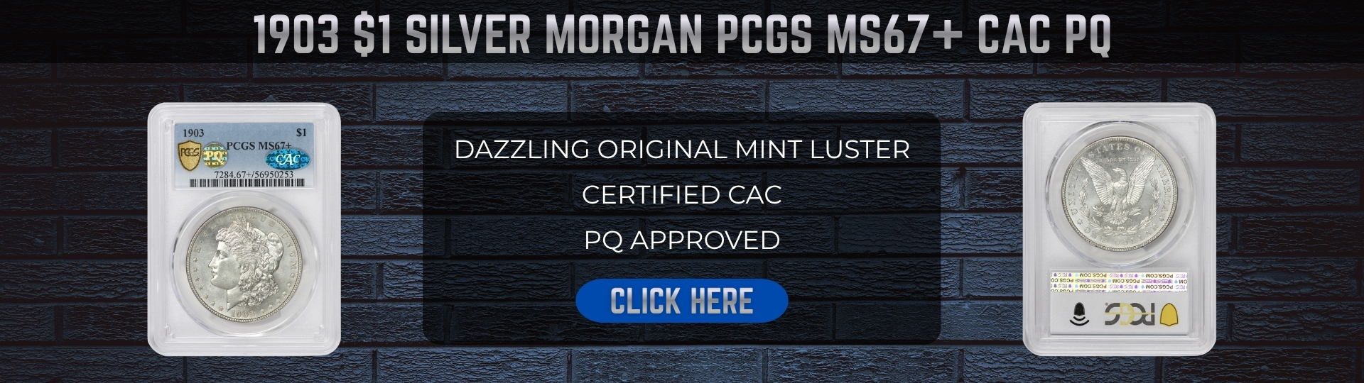 nineteen hundred three silver morgan dollar graded M S sixty seven plus by P C G S CAC P Q
