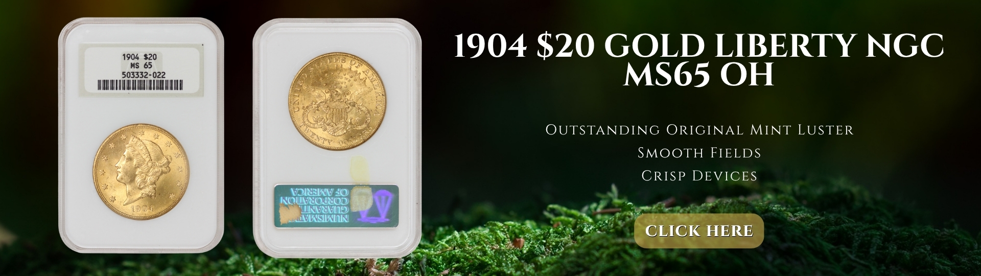 nineteen hundred four gold liberty double eagle graded M S sixty five by N G C O H