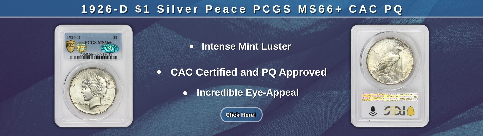 Nineteen Twenty-six D Silver Peace Dollar graded M S sixty six plus by P C G S CAC Certified and P Q approved