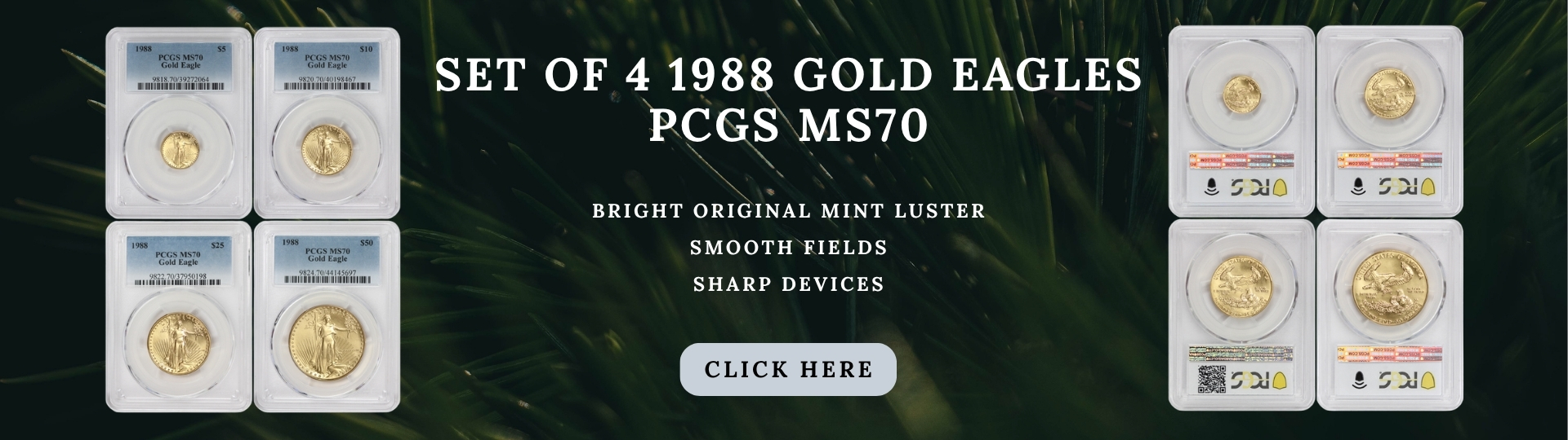 set of four nineteen hundred eighty eight gold eagles graded M S seventy by P C G S