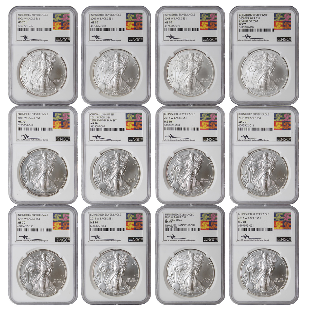 Set of 17 2006 to 2022 $1 Burnished Silver Eagle NGC MS70 RCTV 