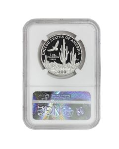 2001-W $100 Platinum Eagle NGC PF70UCAM