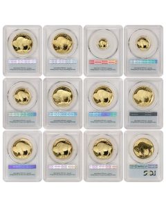 Set of 22 2006 to 2023 Gold Buffalos PCGS PR70DCAM FS & FDOI Bison Label Obverse 1