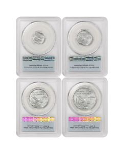 US Platinum Eagle 2007 PCGS MS70 4 Coin Set First Strike Flag Label Obverse