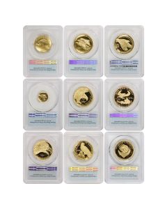 Set of 8 2009 to 2023 Gold High Relief PCGS MS70PL, PR70DCAM, SP70DMPL FS Obverse