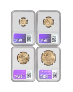 Set of 4 2015 Gold Eagle NGC MS70 ER Eagle Label Obverse