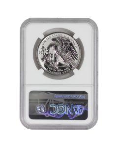 2022-W $25 Rev PR Palladium Eagle NGC PF70 FDOI OGP Obverse
