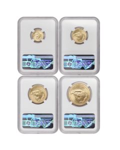 Set of 4 2023 Gold Eagle NGC MS70 FDOI 1st Label