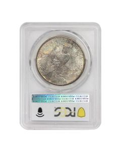 1923-S $1 Silver Peace PCGS MS65+ Obverse