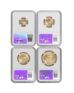 Set of 4 2024 Gold Eagle NGC MS70 FR Norris Label