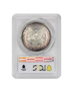 1884 $1 Silver Morgan PCGS MS67+ Obverse