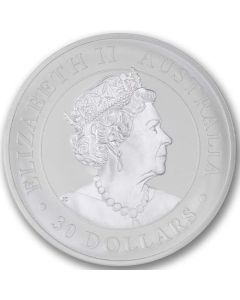 Random Year Australia 1 Kilo Silver Koala Coin BU