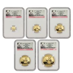 Set of 5 2017 China Gold Pandas NGC MS70 FR Obverse
