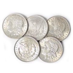 $1 Morgan Silver Dollars VG-XF (Random Year)
