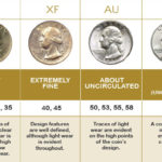 Understanding the Point Grading Scale